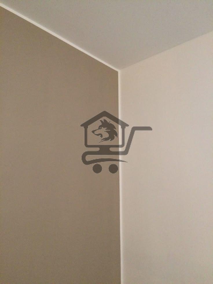 معلم دهان و معجونة - الصورة 2