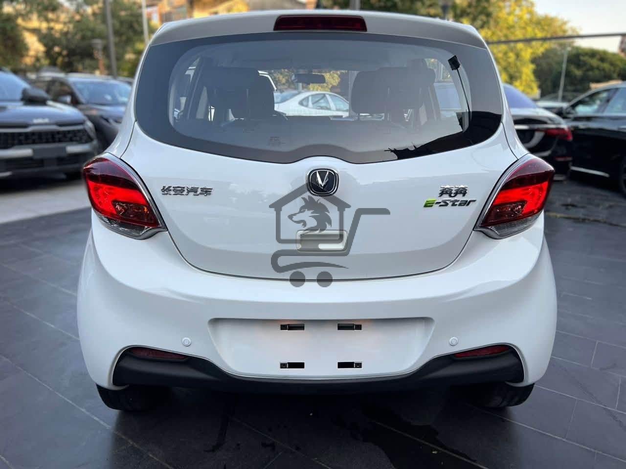 Changan E-star Med - الصورة 2