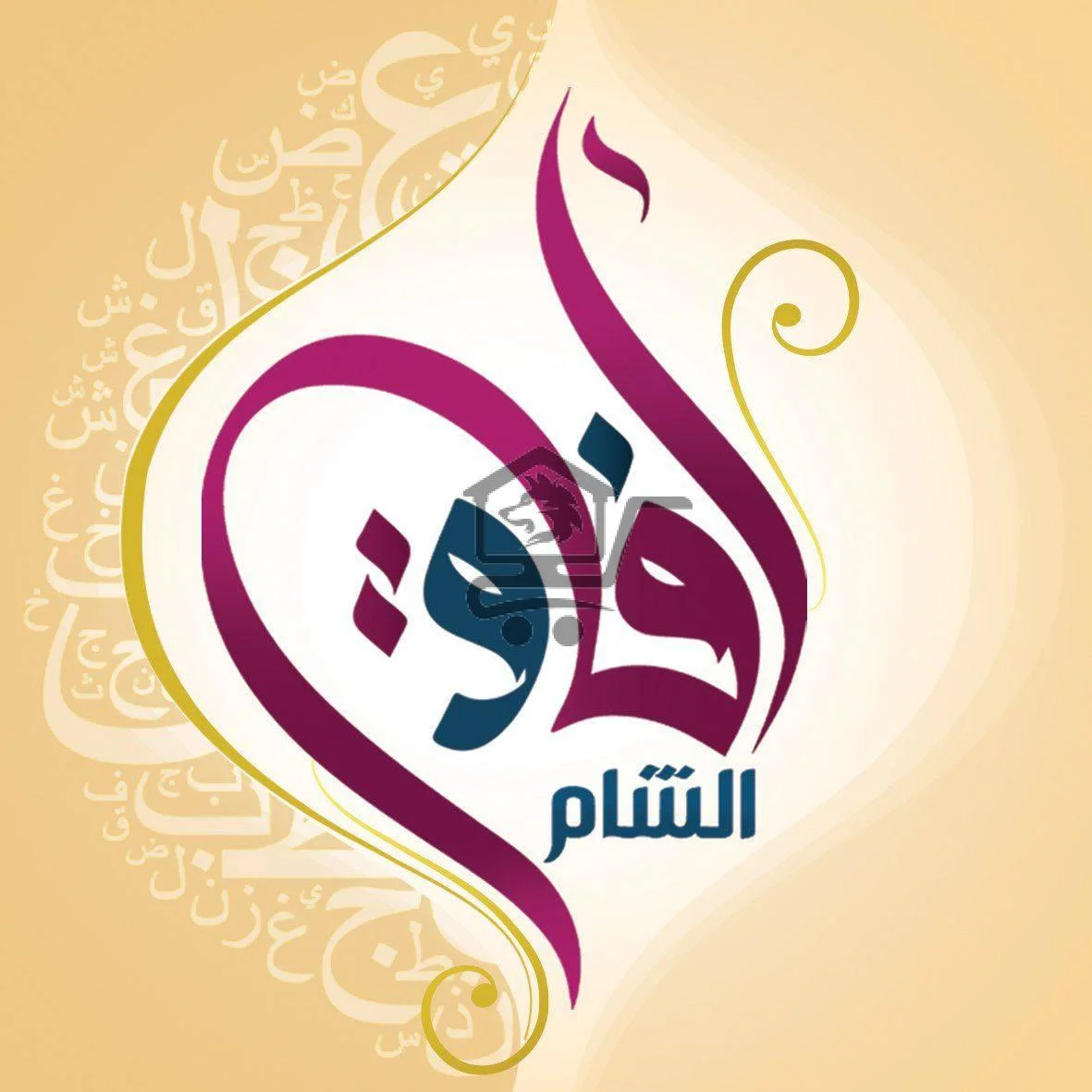 مدرسة آفاق الشام - الصورة 2