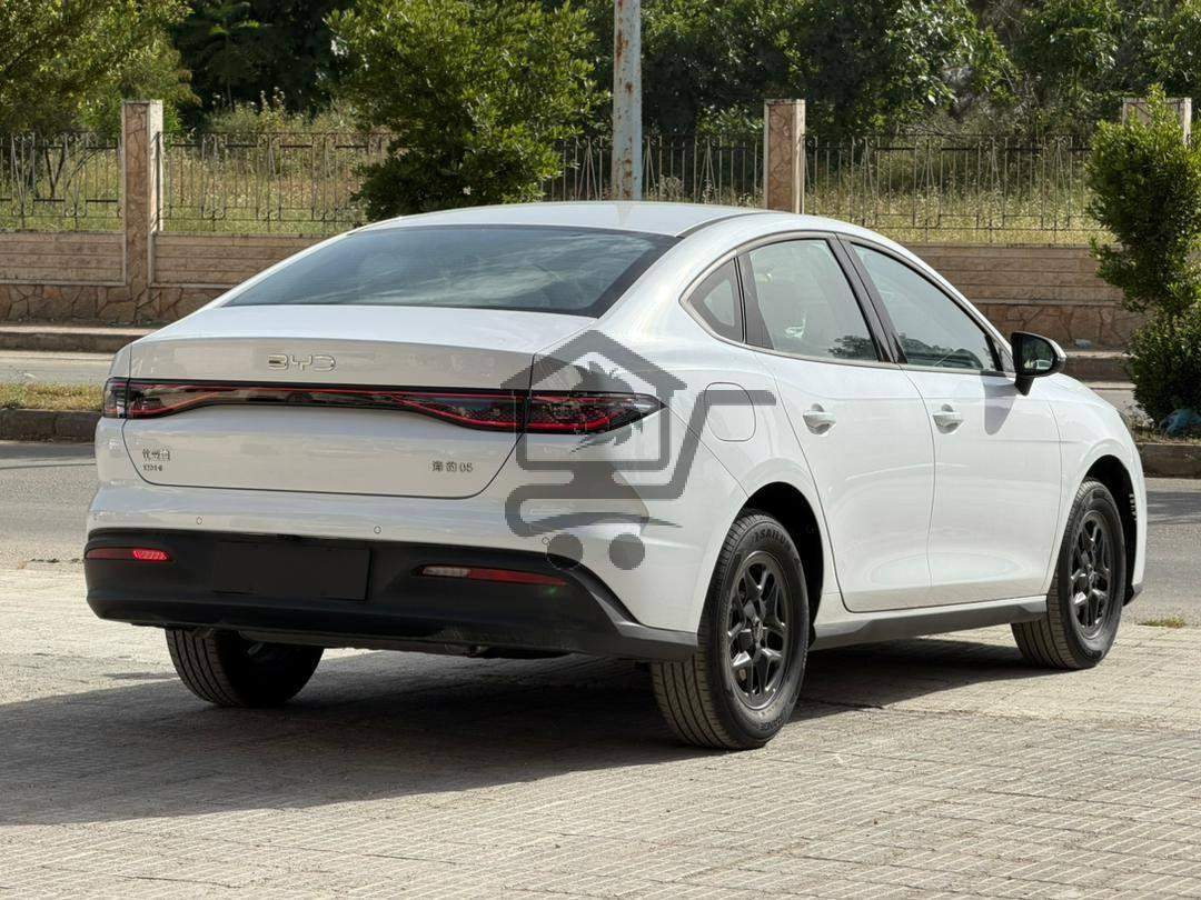 BYD Qin Plus 2025 - الصورة 2