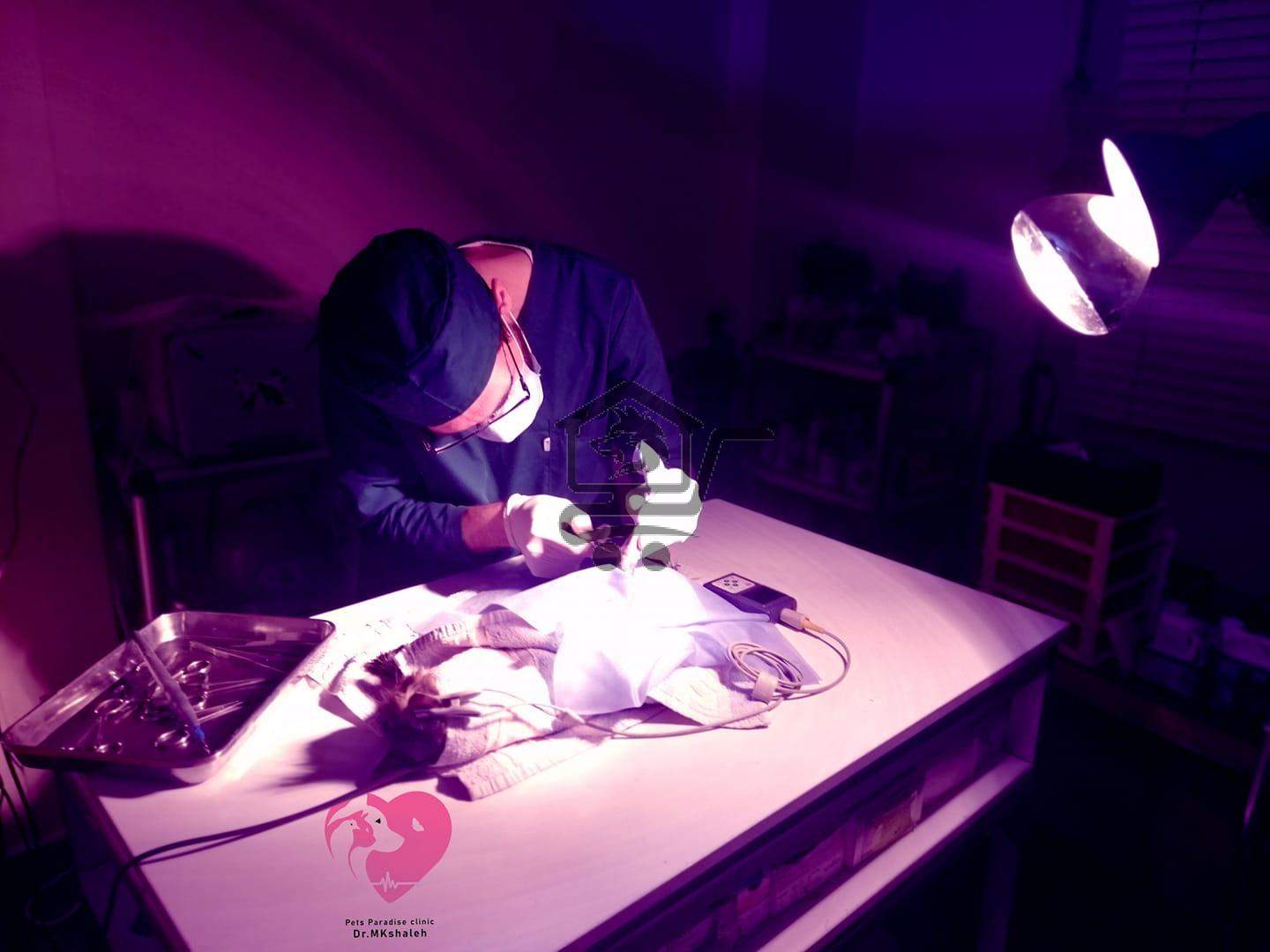 د.محمد خالد الشالح - الصورة 1