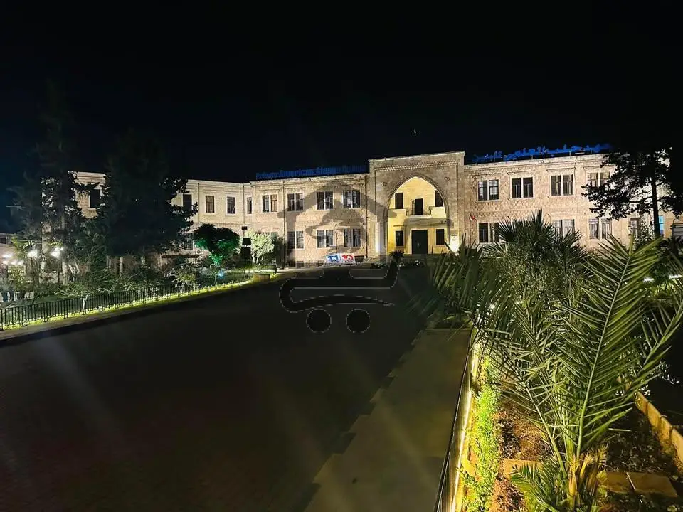 American Aleppo Collage - الصورة 1