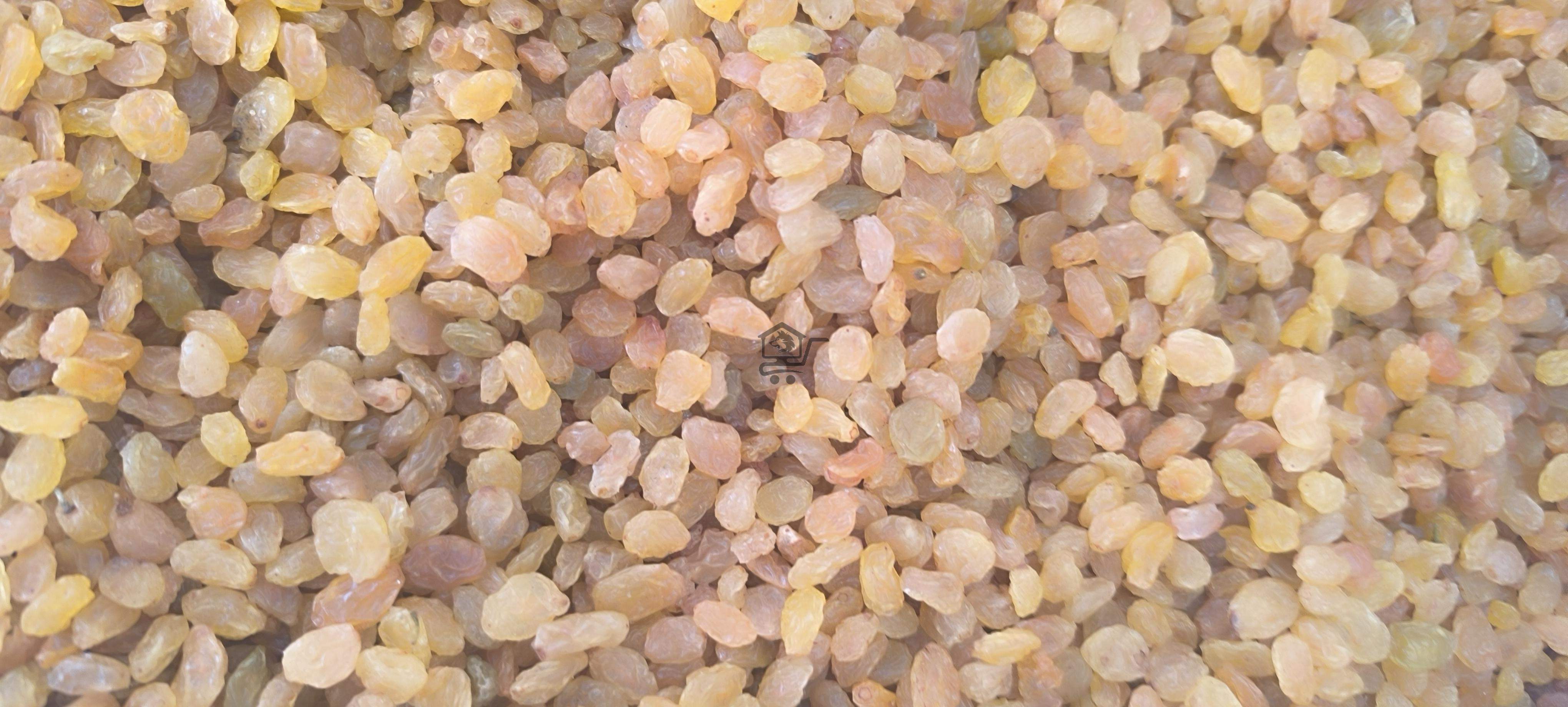دمشق ريف دمشق مدينه عربين سوق الجوز - الصورة 6