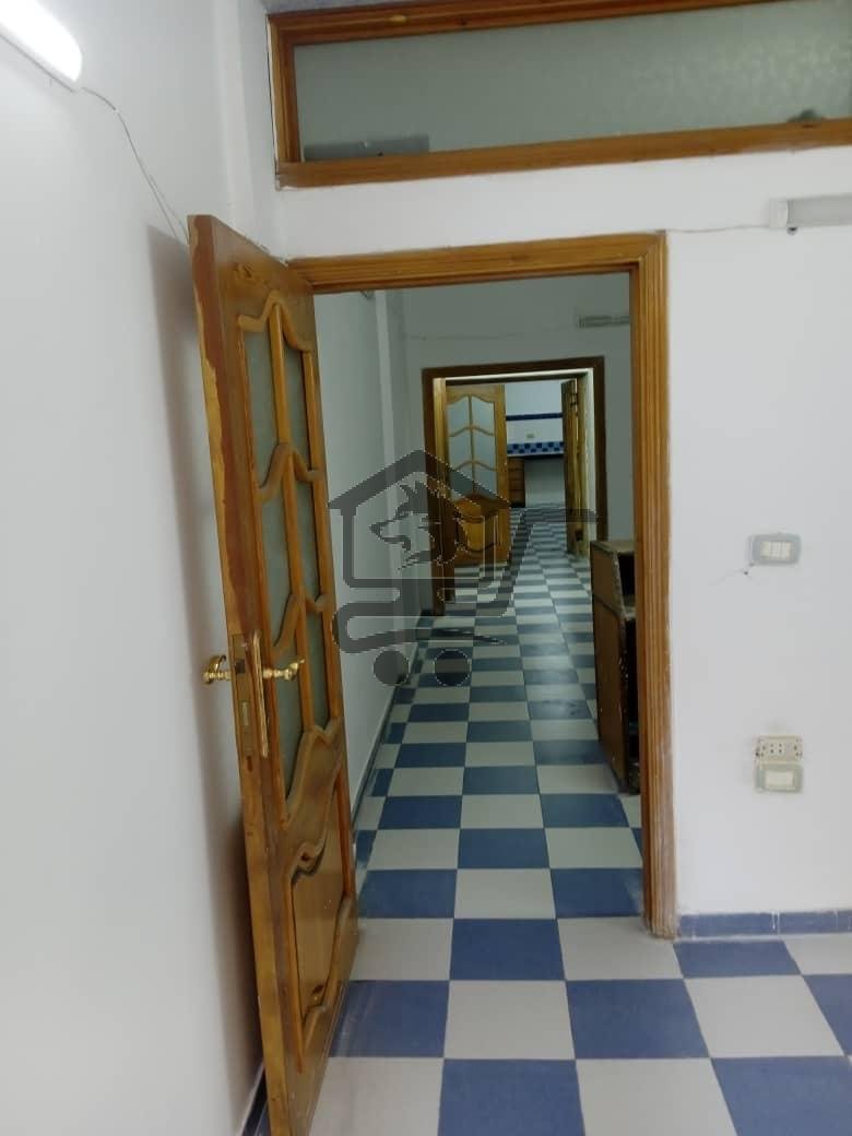 مخبر بالشيخ ضاهر - الصورة 2