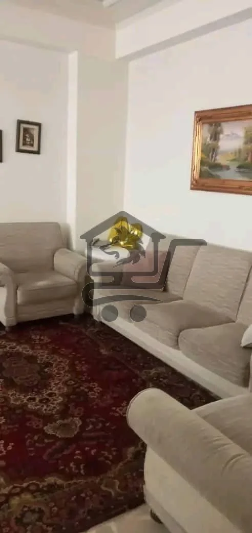 حلب شارع النيل - الصورة 1