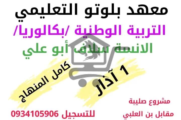 معهد بلوتو التعليمي - الصورة 2