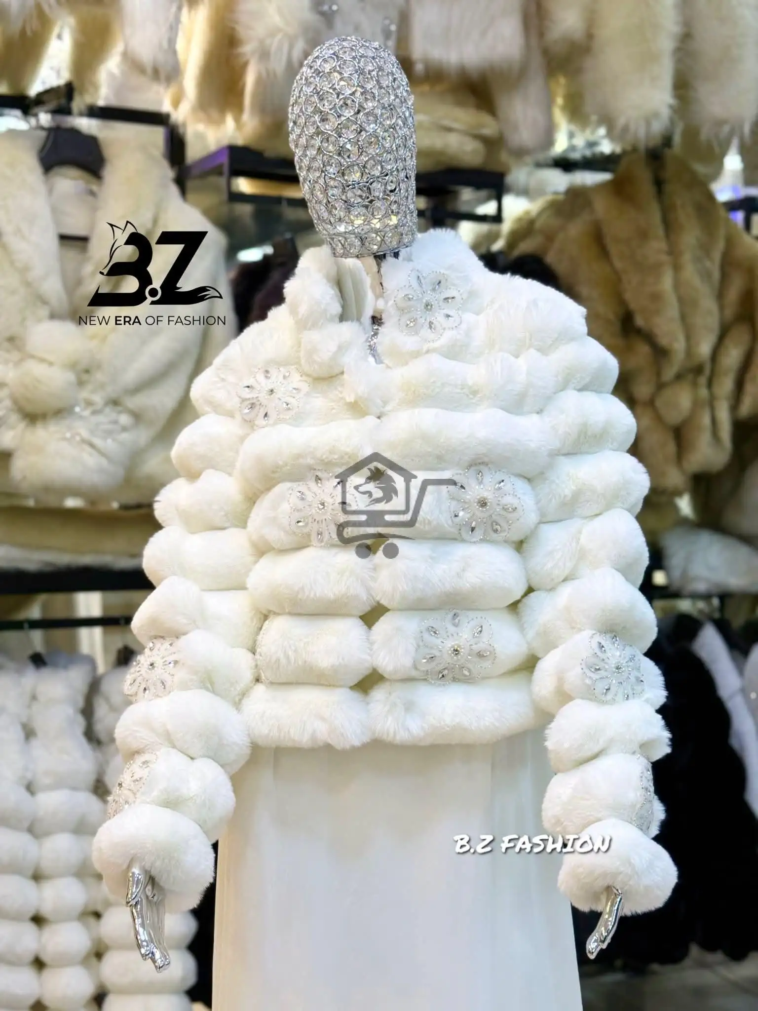 فرو عرايسي - الصورة 1