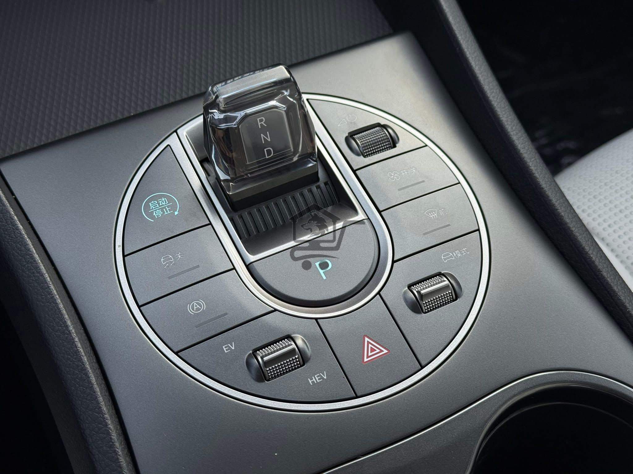 BYD - الصورة 6