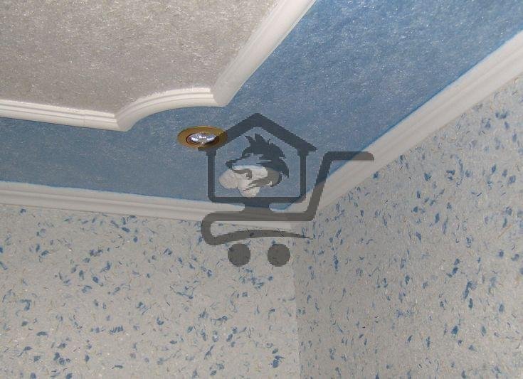 معلم دهان خبير - الصورة 1