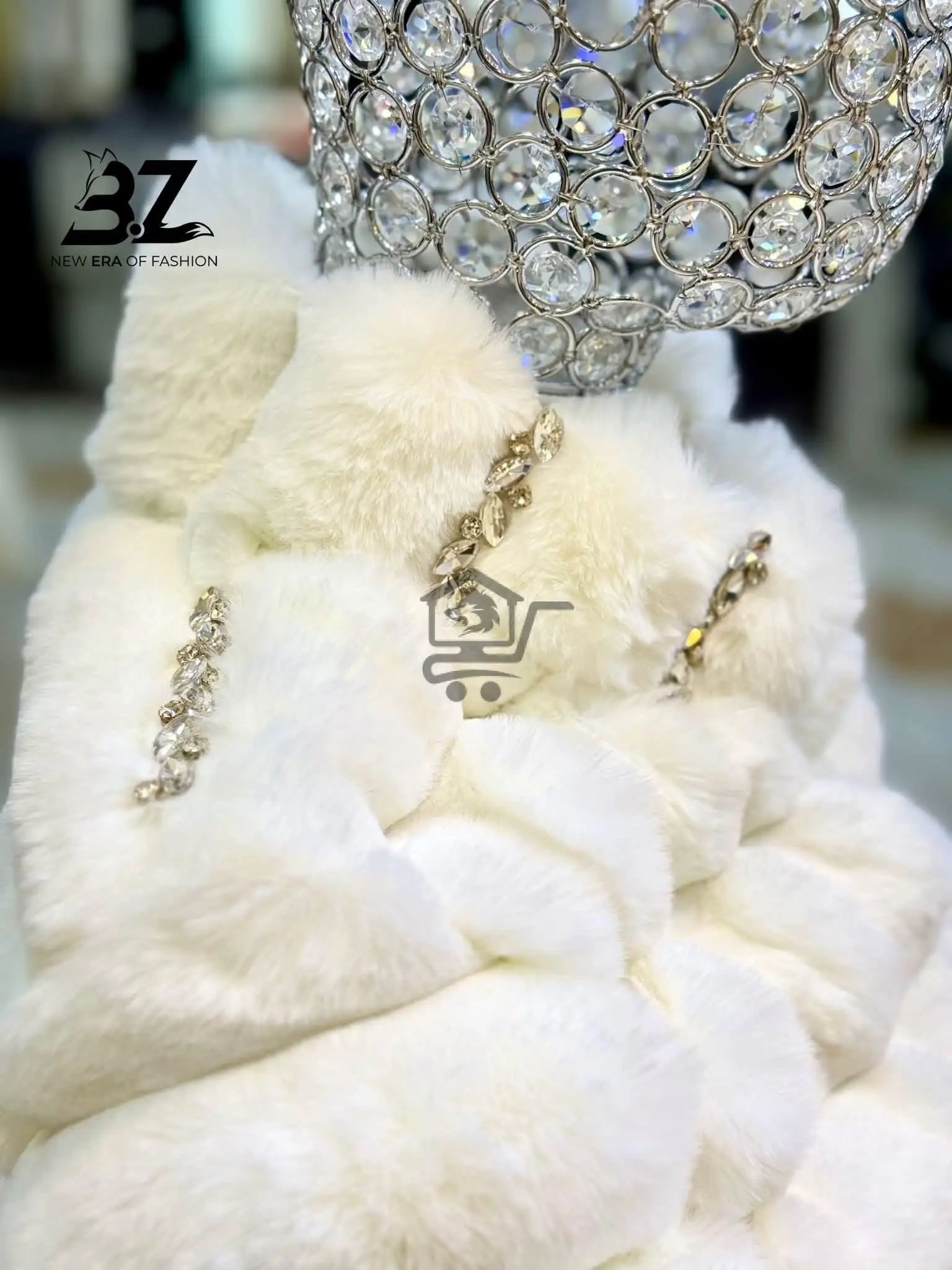 فرو عرايسي - الصورة 2