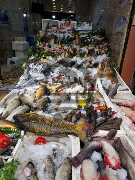 مسمكة لؤي الذهبية - الصورة 2