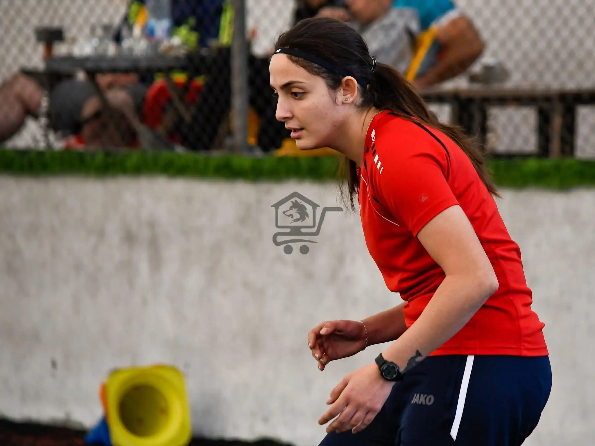 مدارس النجوم والناصيف الكروية - الصورة 2