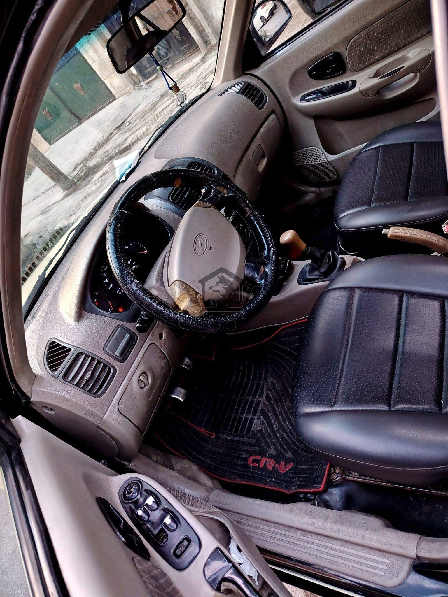 فيرنا هندية - الصورة 5