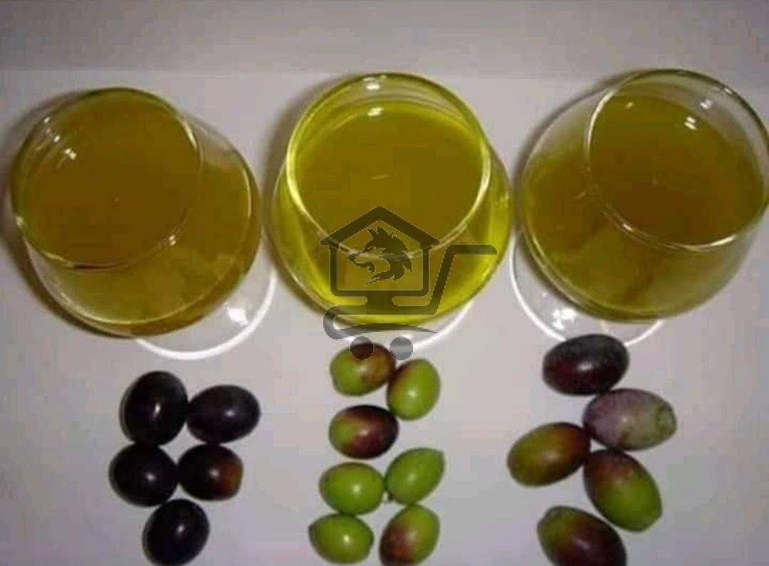 زيت زيتون البركة - الصورة 2