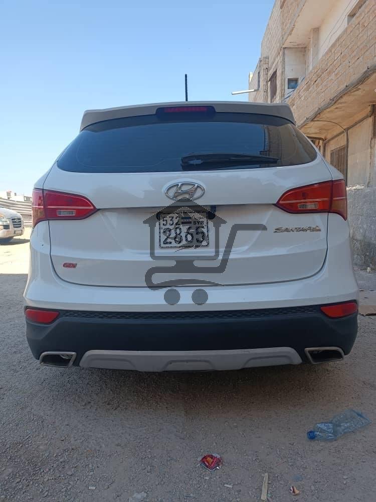 دي ام  2013 - الصورة 3