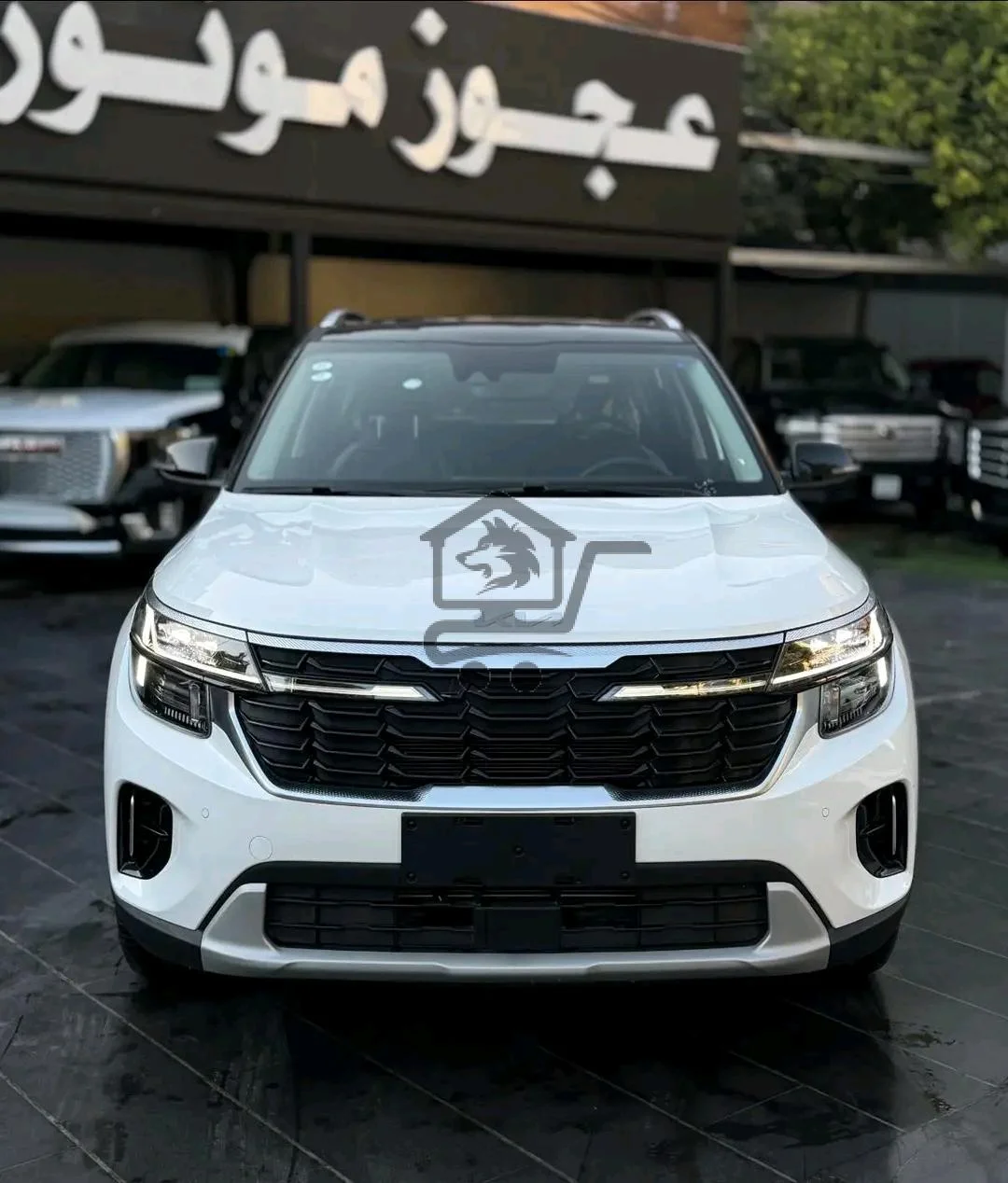 Kia Seltos - الصورة 1