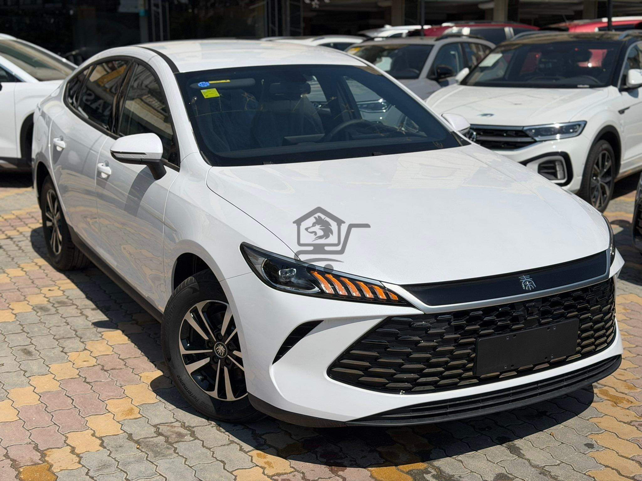 BYD Qin Plus 2025 - الصورة 3