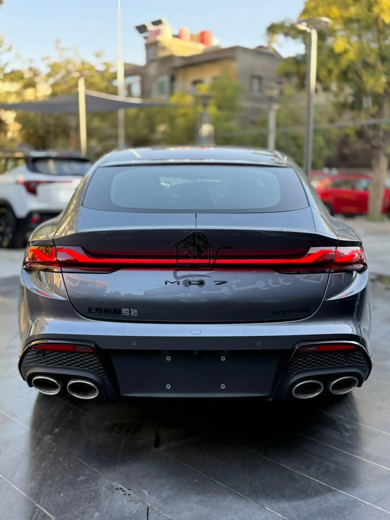 MG 7 - الصورة 6