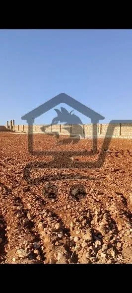 حلب خان العسل - الصورة 1