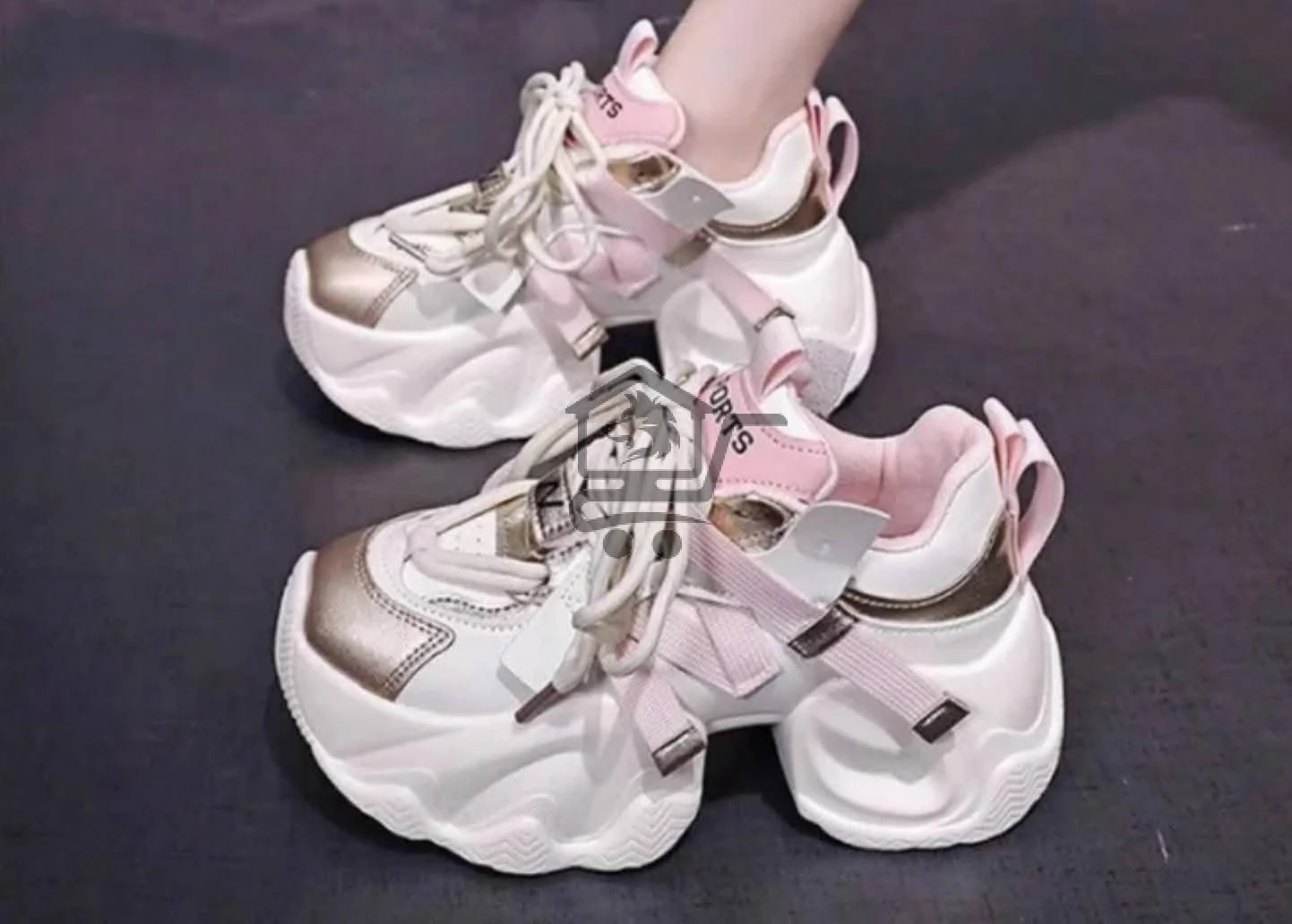 حذاء الملكي - الصورة 3