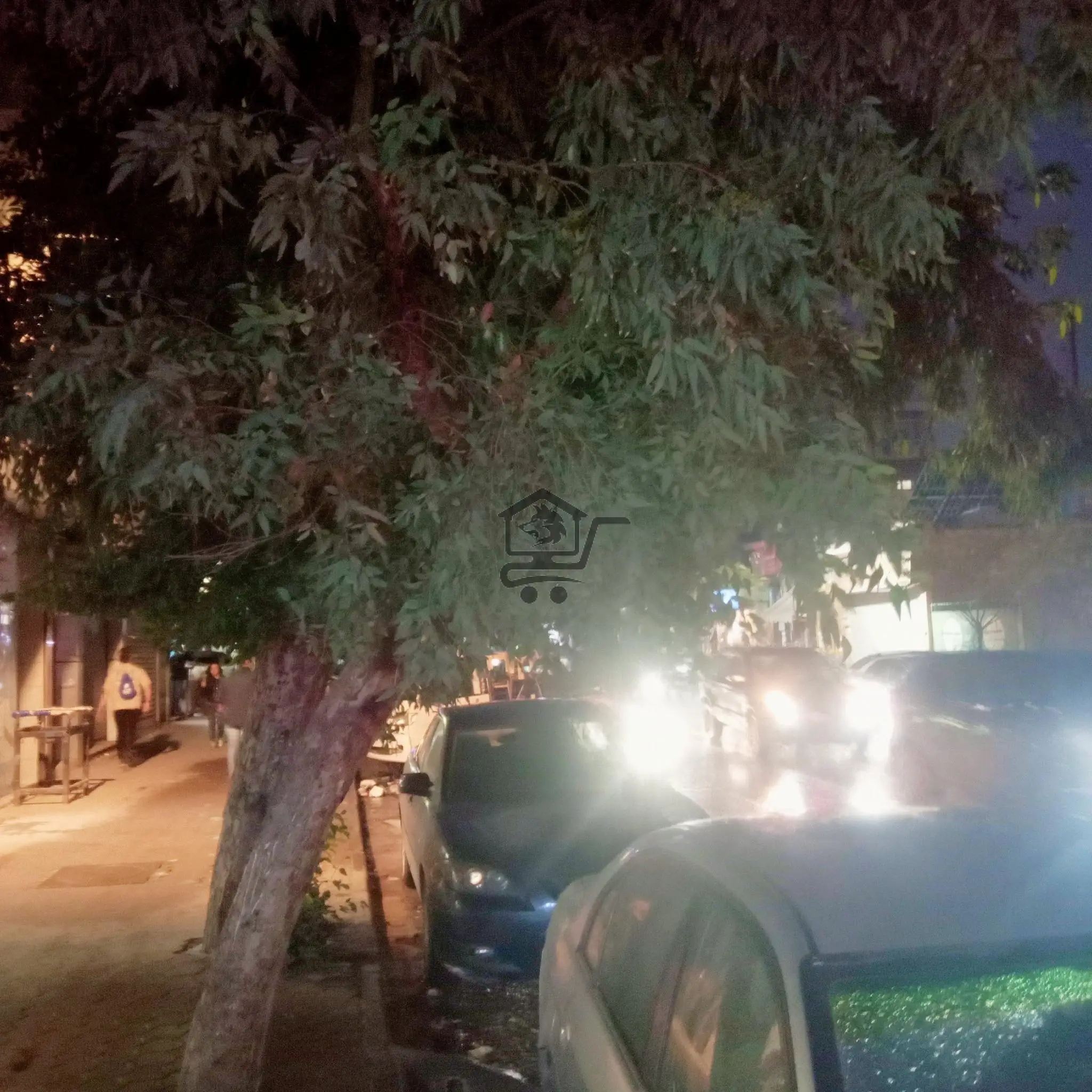 حلب السليمانية - الصورة 9