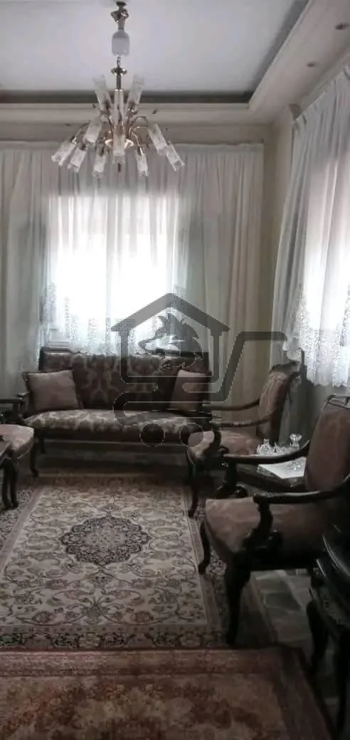 حلب شارع النيل - الصورة 5