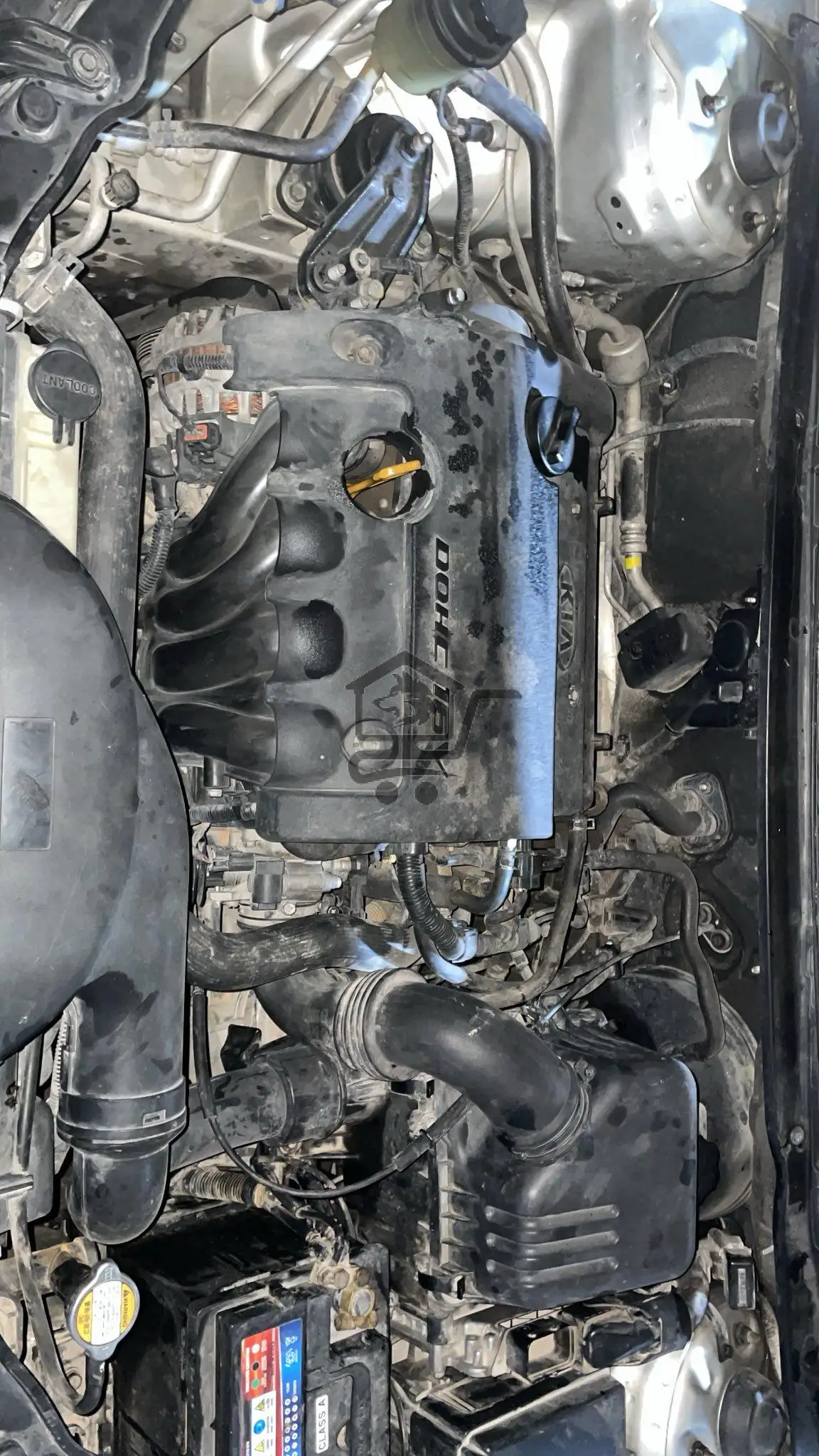 فورتي 9/9 - الصورة 5