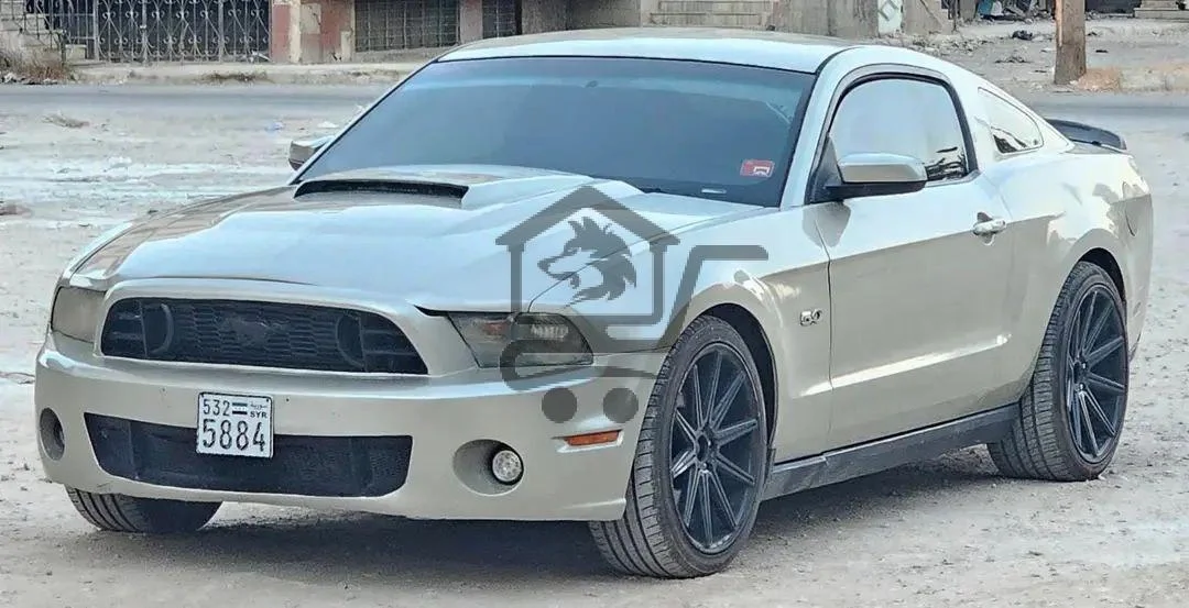 شركة الاخوة لتجارة السيارات - الصورة 2