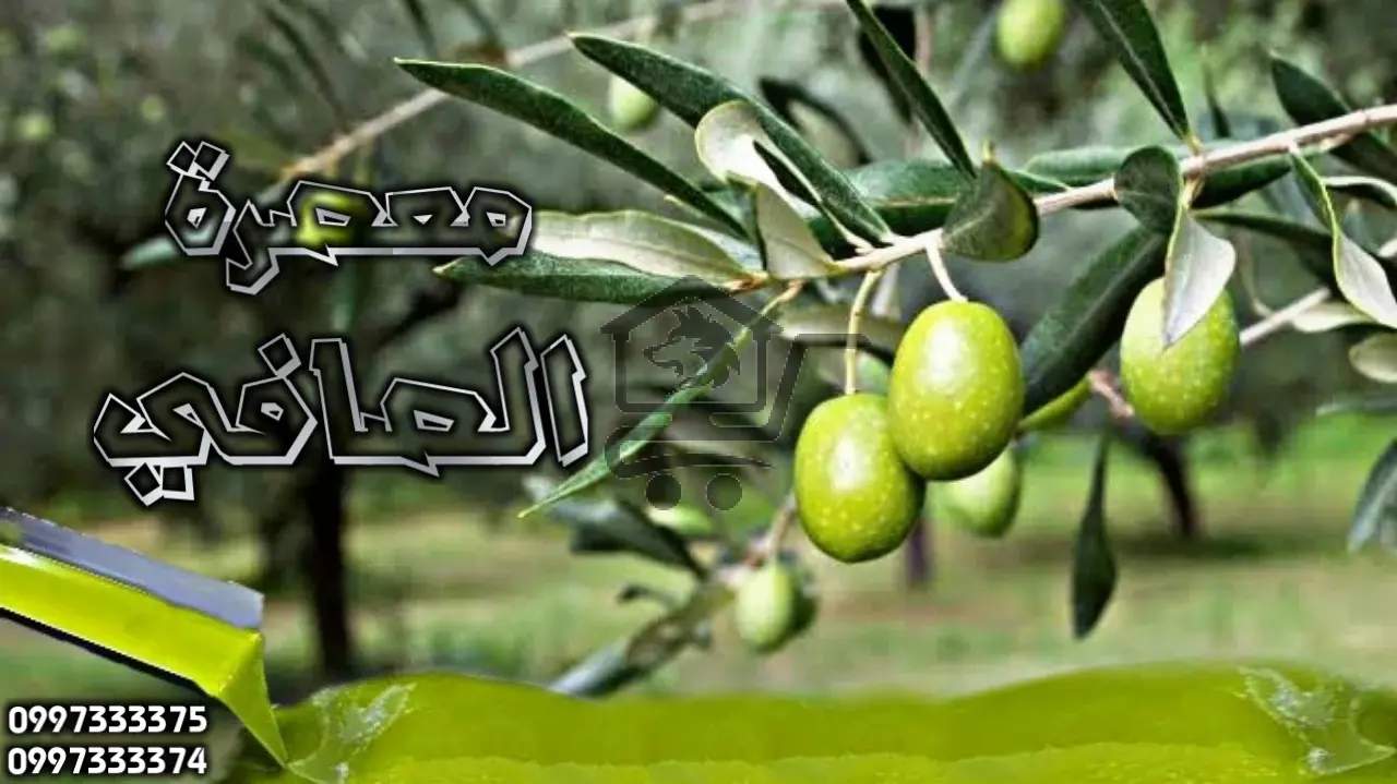 معصرة الصافي - الصورة 3