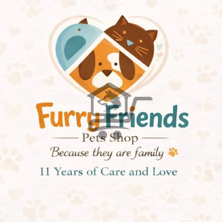 Furry Friends - pets shop - الصورة 1