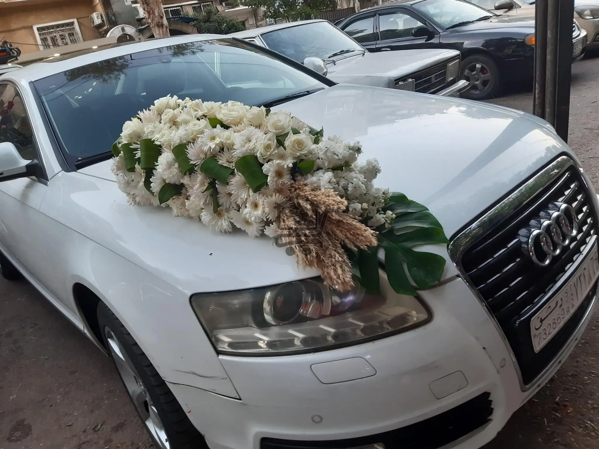 ازهار صلاح الدين - الصورة 6