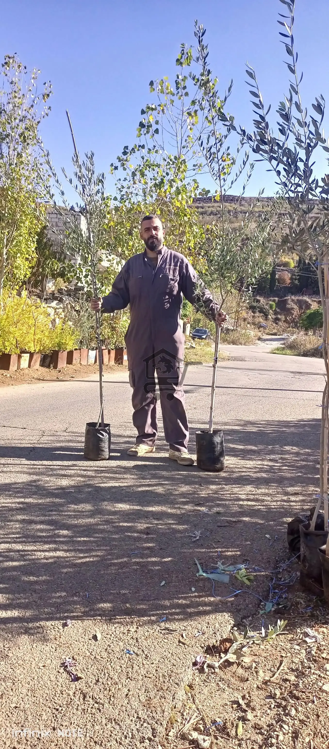 مشتل الجبل صافيتا - الصورة 5