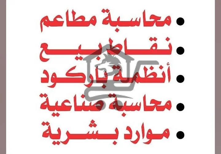 أنظمة فينيكس - الصورة 3