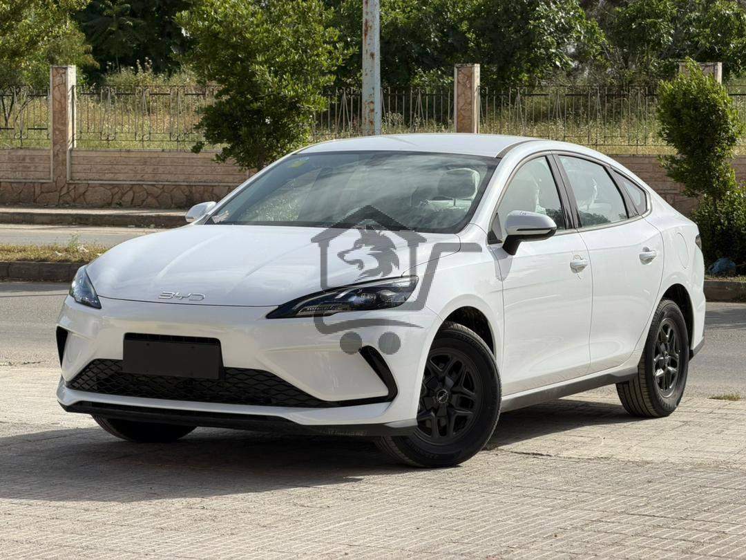 BYD Qin Plus 2025 - الصورة 1