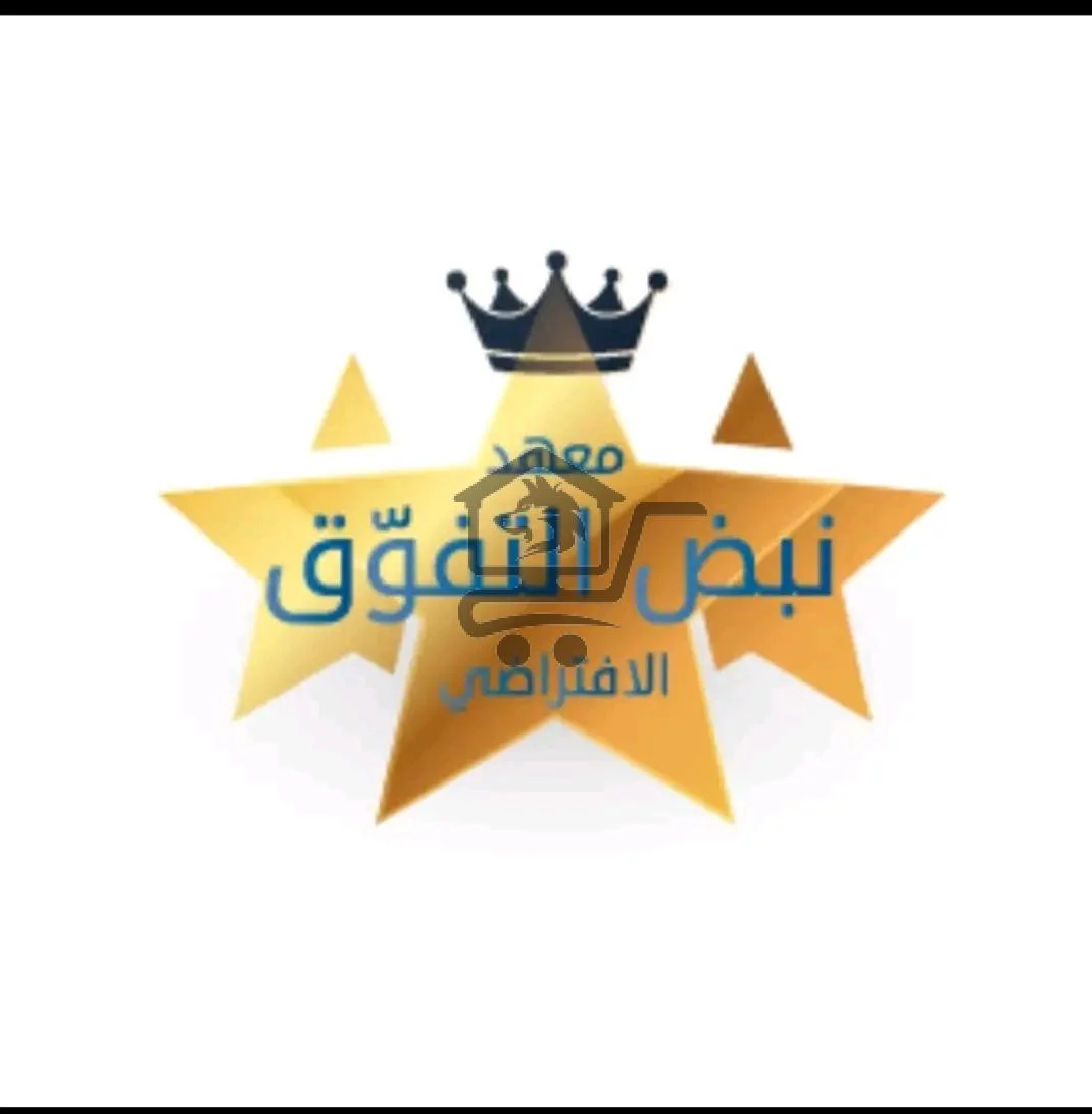 معهد نبض التفوق الافتراضي - الصورة 3