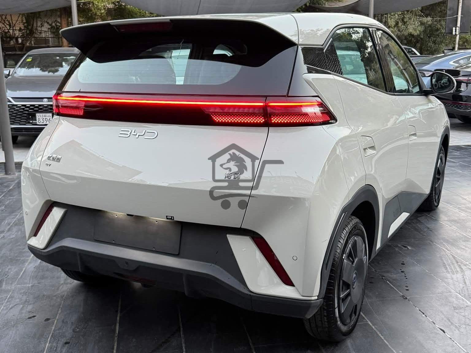 BYD Seagull 2025 - الصورة 4