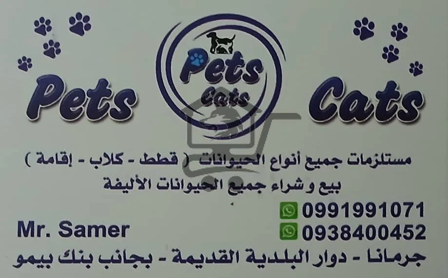 🐾 Pets Cats