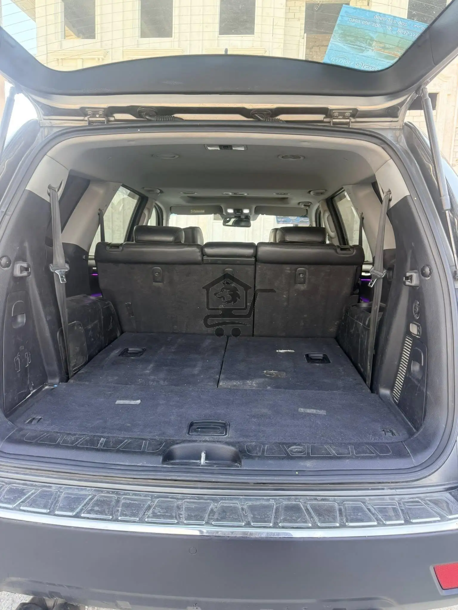 موهافي 2011 - الصورة 9