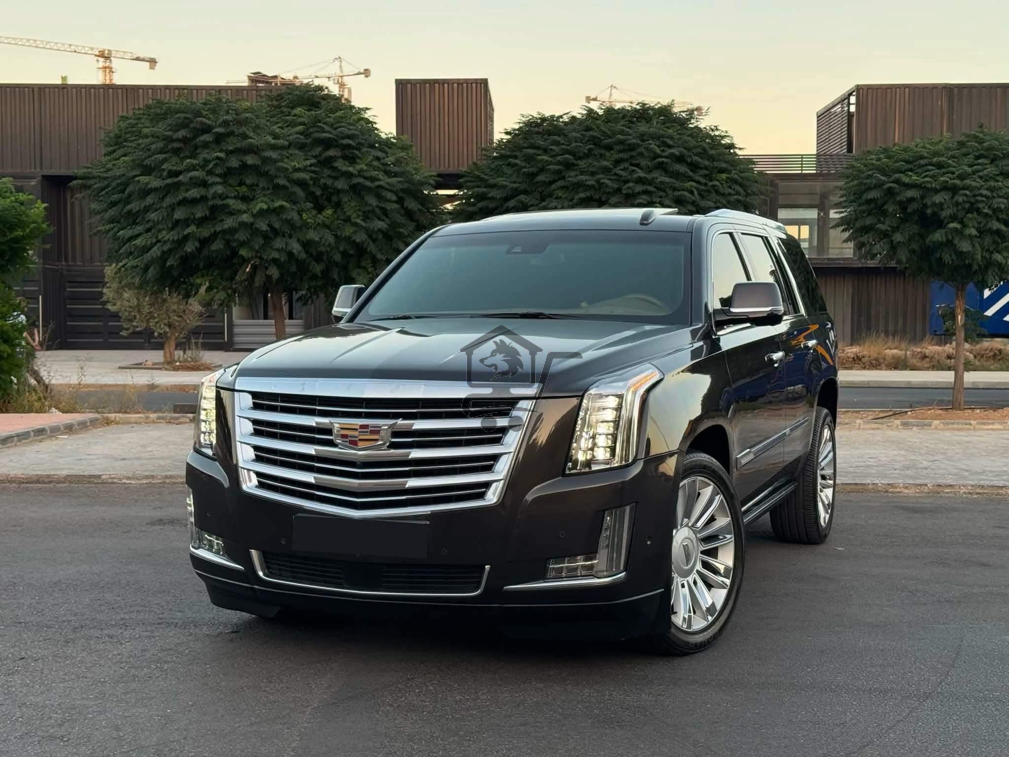 ESCALADE PLATINUM - الصورة 9