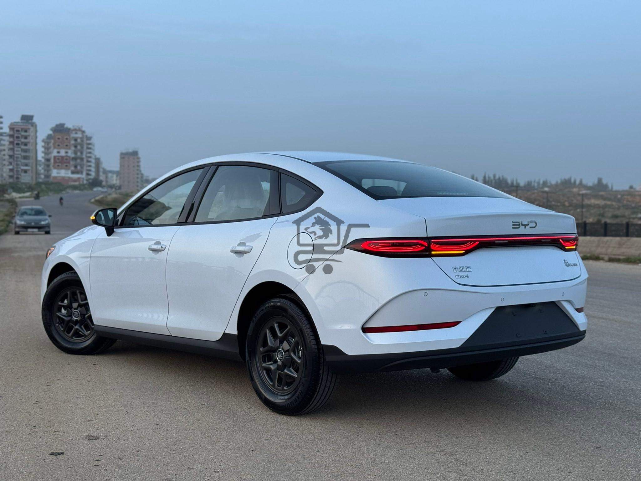 BYD Qin Plus - الصورة 2