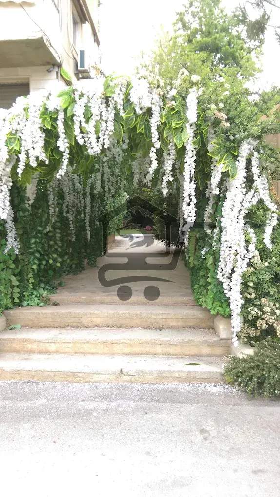 أزهار الميسات - الصورة 2