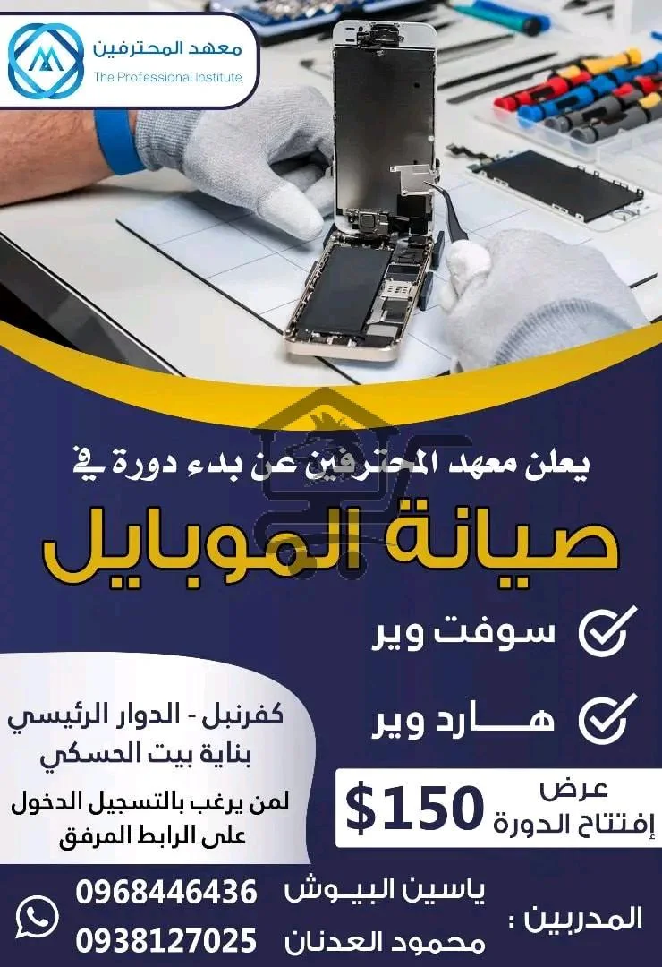 معهد المحترفين - الصورة 2