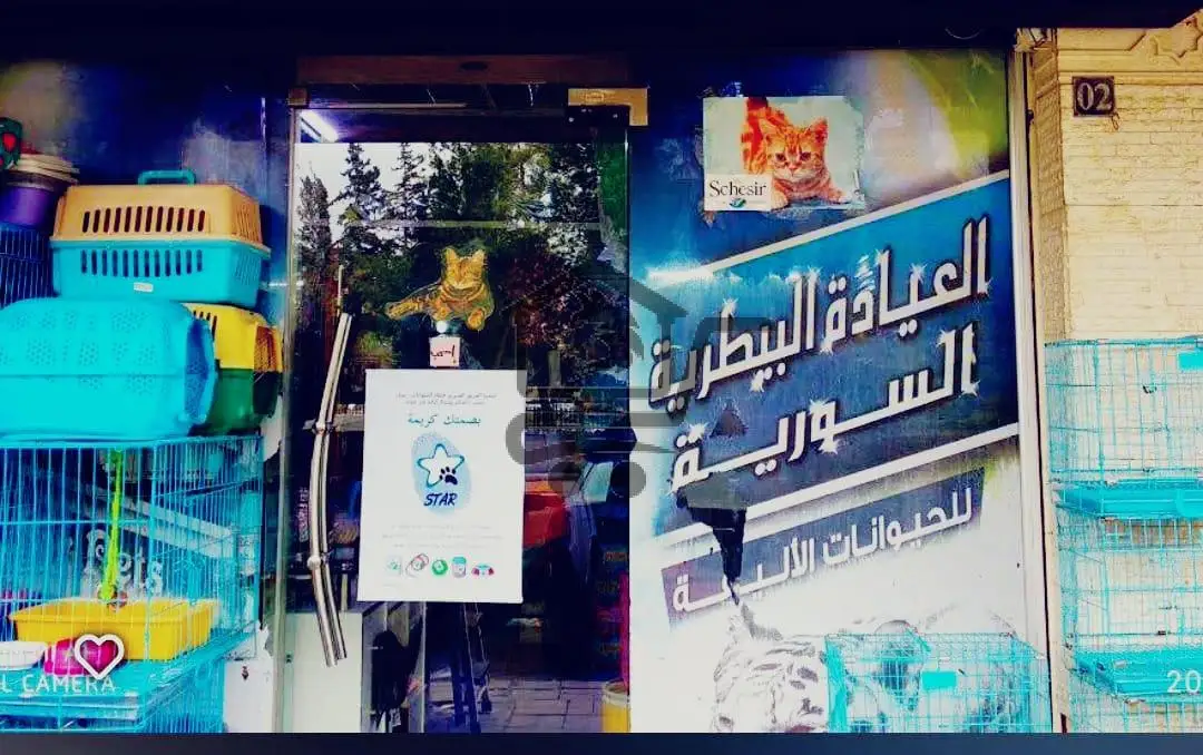 العيادة البيطرية السورية للحيوانات الأليفة 😺🐶 - الصورة 3