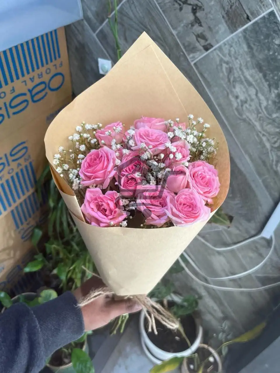 زويا - الصورة 3