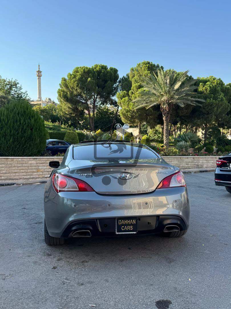 جينيسيس كوبي - الصورة 7