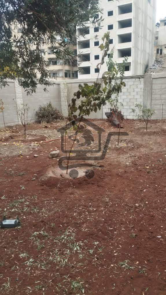 مشتل الجسر - الصورة 2