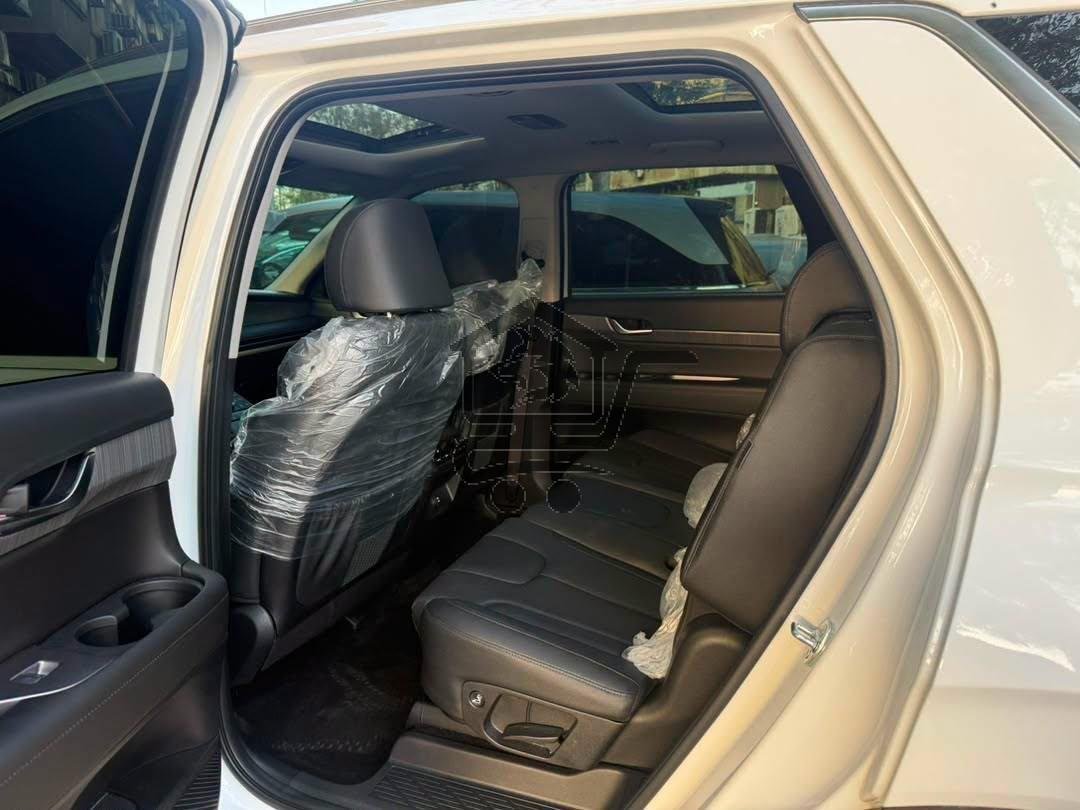 Hyundai Palisade 2024 - الصورة 8