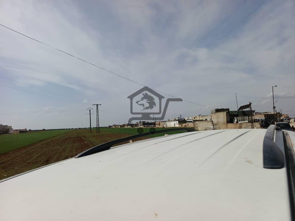 فان ستاركس 2004 - الصورة 6