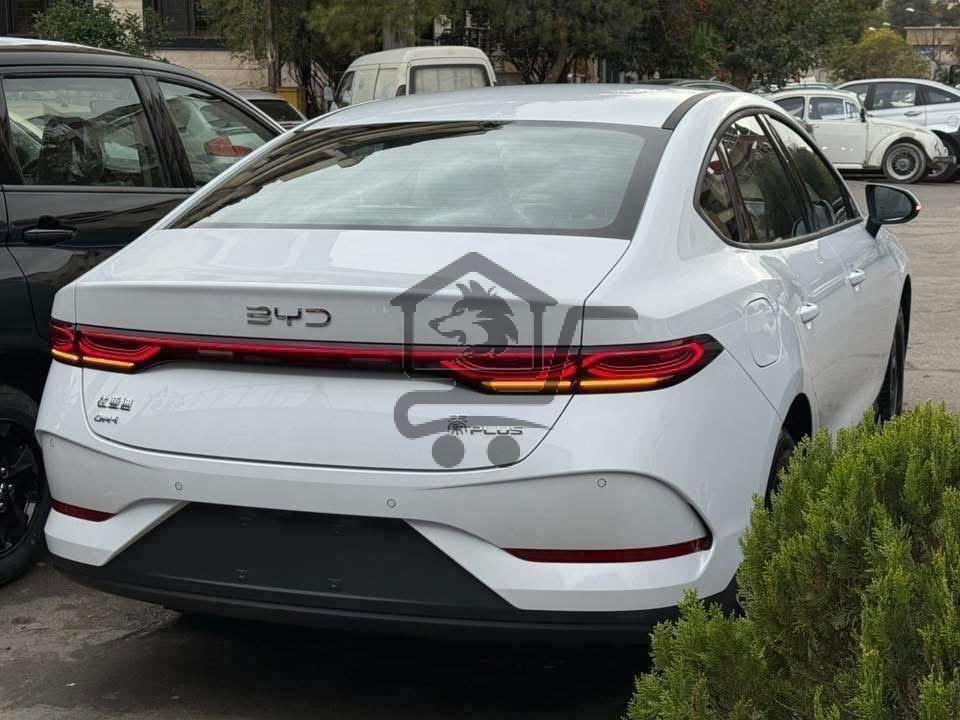 BYD - الصورة 2