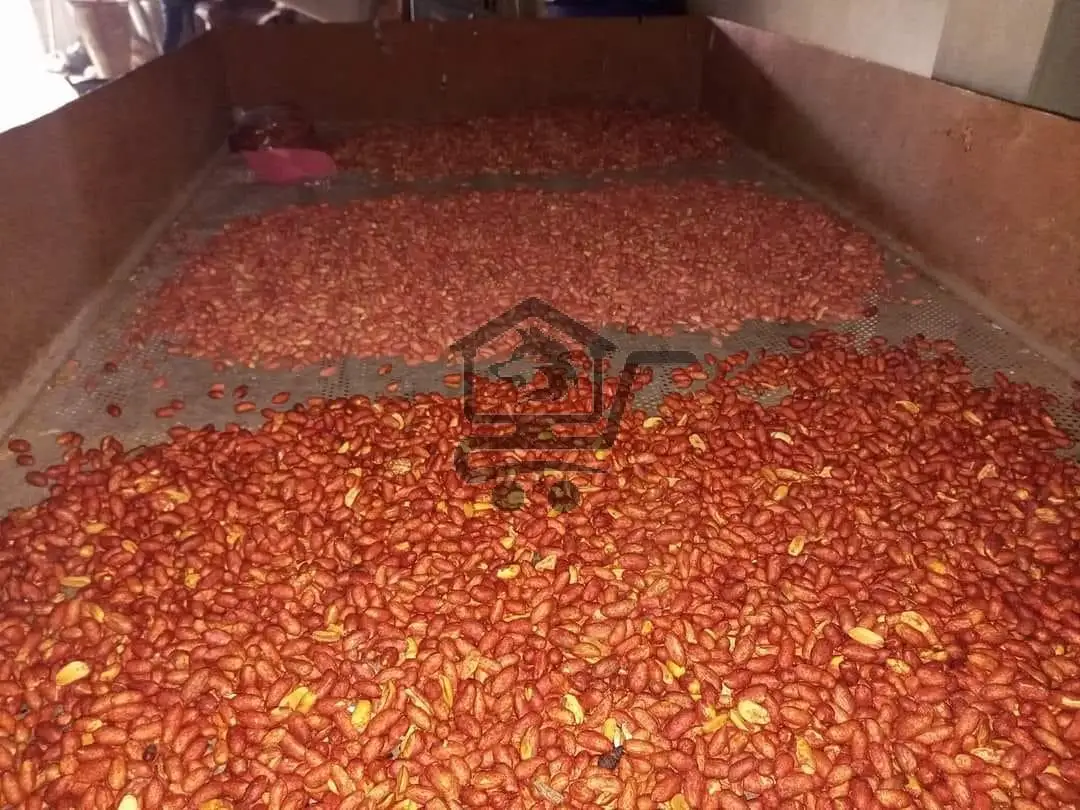 محمصة وضيافة الدباغ - الصورة 5